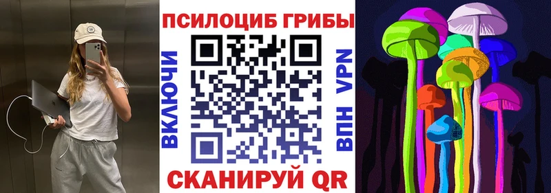 Галлюциногенные грибы мицелий  Кыштым 